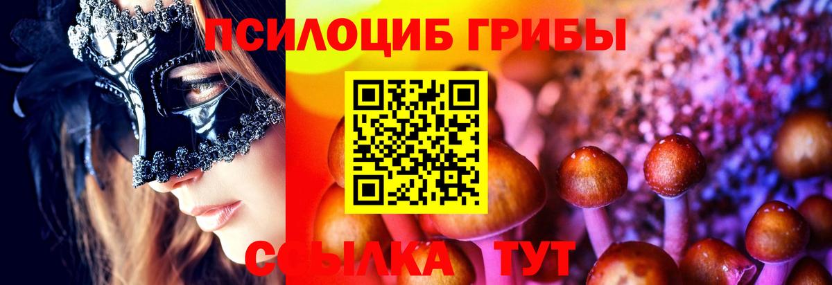 Галлюциногенные грибы Psilocybe Миасс