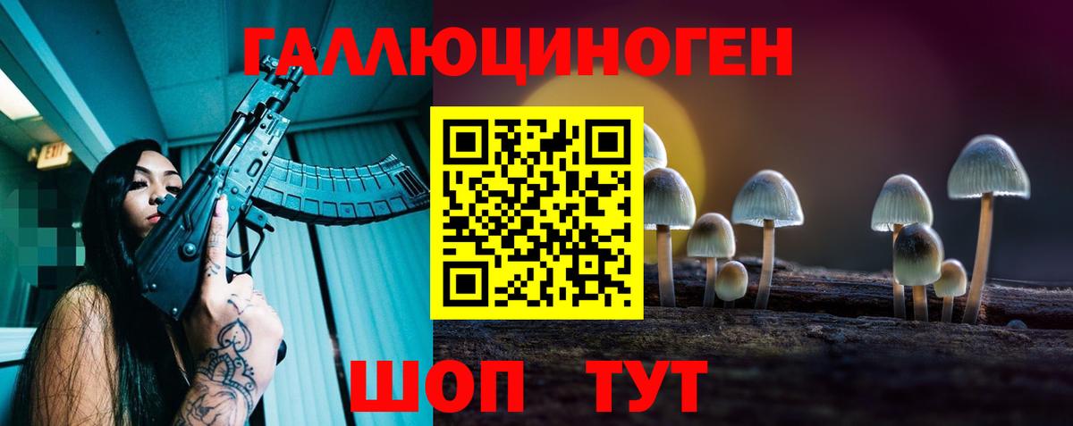 Миасс  Галлюциногенные грибы Psilocybine cubensis  Вход с VPN 